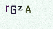 Visual Confirmation Security Code
