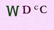 Visual Confirmation Security Code