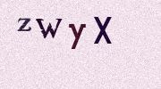 Visual Confirmation Security Code
