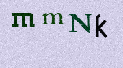 Visual Confirmation Security Code