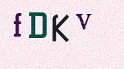 Visual Confirmation Security Code