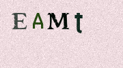 Visual Confirmation Security Code